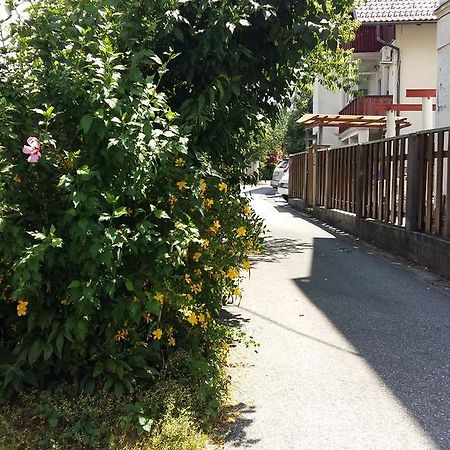 לובליאנה Sunflower Accommodation מראה חיצוני תמונה