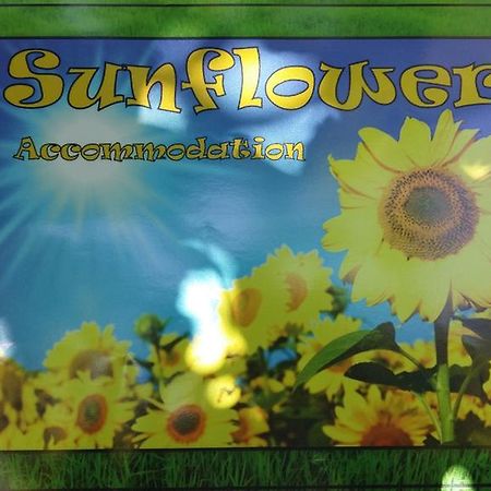 לובליאנה Sunflower Accommodation מראה חיצוני תמונה
